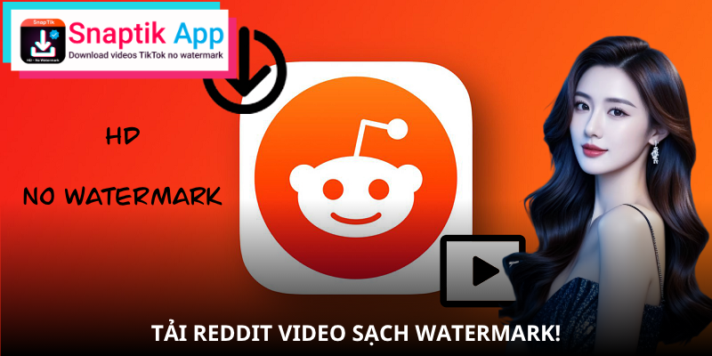 reddit-video-loi-ich-tai-voi-snaptik